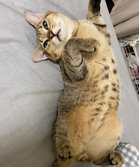 оҼҵèֵĺܸߣʱ޿̶ɹ