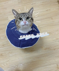 ҽҰֵèֵˣǰ󲻹һµʱ