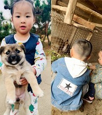 回老家过上了“李子柒”的惬意生活,包场赶海,随手可摘新鲜蔬菜