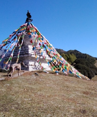 一人一车一狗自驾四姑娘山海子沟,这些景点和酒店都可以带狗