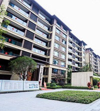 �ɽ��ƽӷ��ֳ����ܶ���˵�����ǵĺö��ˣ���Ҿ�����ˮƽ���