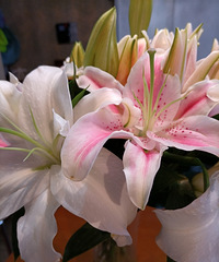 10��9.9�İٺϻ��������ʺÿ���������