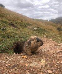 3300㶨˫5մԼΣֵȥN