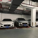 车库这几辆车就没动过