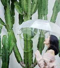 39.9元吃了一顿下午茶,没想到出片率100%当拍了套写真