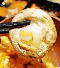 ڹԵḻĿʢ磬۶֭ĿĢ