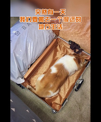 һ300w޵й˹мǣѣĽ