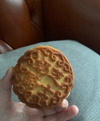 这个蒙古月饼太好吃了,不甜不腻超级易上头