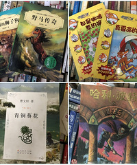 �����������̯����10���꣬������һ���飬���˲���100Ԫ