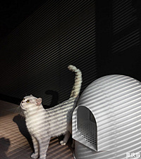 װ100ƽִ򣬶˵ɫ̫̫䣬ȴϲ