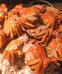 ��������Ͳ�����բз�������������ֳ��Ļ��