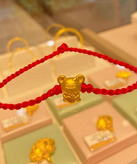 宝藏珠宝店被我发现啦