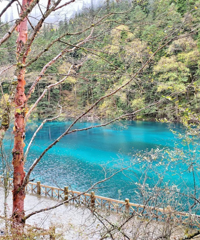 ���ϸ�ĸ�͹����Լݴ������ŷ����п�������ż�������կ�ӳ���