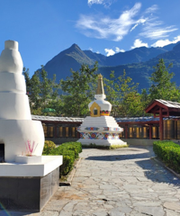 带上父母和狗子自驾川西,放飞休闲看美景,偶遇的免费寨子超棒