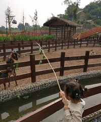 ����ĩ�����Ρ������������һ����+