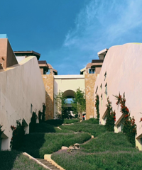 ȥ˴ġʥᡱƵָ꣬˾ϲ