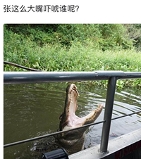 大家屋头有喜欢钓鱼的人吗?感觉钓鱼瘾比烟瘾、酒瘾可怕多了