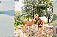 1Сʱ͵ĵ죬羰ˣ¶࣬