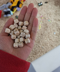 �򿨿���С�����ӳ���