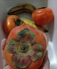 最近网购的各种水果,颜值与味道并存