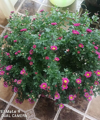 ڼ;գһ9ջÿһ趼ú÷ï