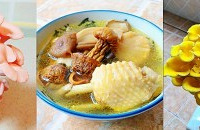 ɹɹ���ֵĶ�ʿ�ʳ��Ģ�����þ���������Ȥζʮ��