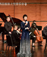 BMW西区极致之悦音乐会
