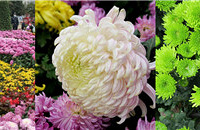 ȥϿչģ󻹲ҪƱǧֵֵ