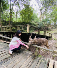 耍事超多还不远的小岛