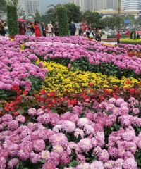 ȥϿչģСƷֶ࣬ؼҪƱǧֵֵ