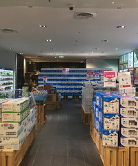 ���������������ۣ�����è˫11������