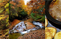 ȥɽ㲻·ߣȫԿƪ͹ˣ