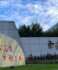 在纠结南渝、育才成功、鲁巴和西附,很多朋友都力荐我选择南渝