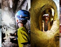 ¿ĶͯڶѨ̽԰ʺȫ̽һ