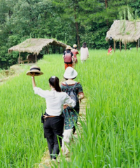 主城耍事多的田园小院