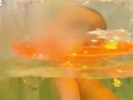 刚满月婴儿游泳身亡