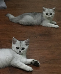 Сʱյè̳˾С뿴ǳʺͷ