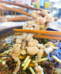 ��ҵ꾹�С������̡������������������ˬ����