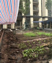 ǰ԰֣԰ֹֹ100ƽ԰ʩing