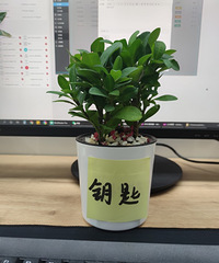 ��һ��֪�����������3��ǰ����һ�δ򿪹����������