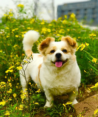 �ҵĶ��������ˣ���л3983�����飬ϣ���±��ӻ���һ����