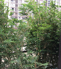 131ƽ200ƽǧ㵽ķβ͹ֺ