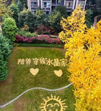 能把房龄十几年的“老破大”卖得比次新房都贵的可能只有冉家坝了