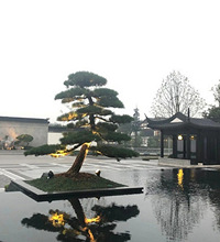 跟着土豪看豪宅,蘭园中规中矩,桃花源苏氏园林最为极致一步一景