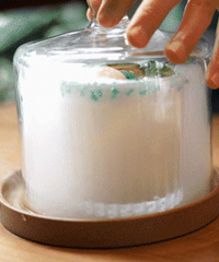 ҵһҾۻᡰµرꡱϱ·Cλ۵