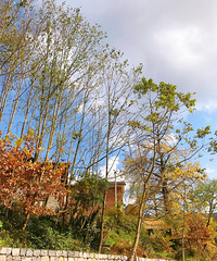 򿨺ͬɼֺ«έ֣һĶ