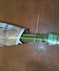 9.9/10������տ����ѻ�֮������