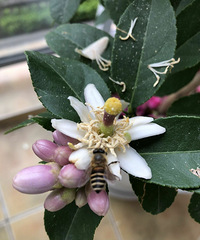 Ƿյļڣҹ죬һеĵȴֵ