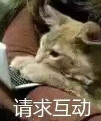 【119值得买】老干妈豆豉辣椒3瓶26,远港棉拖鞋清仓9.9