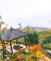 ��ˢ������������������ݵ����ޣ���ĩ��ǲ��ȥ����ũ�Ҳ˲�����